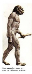 homo-erectus